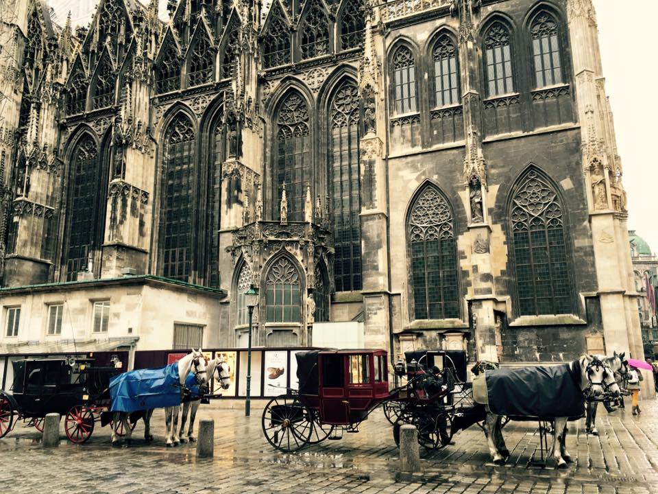 12670204_10156444673795468_6721347040149171804_n