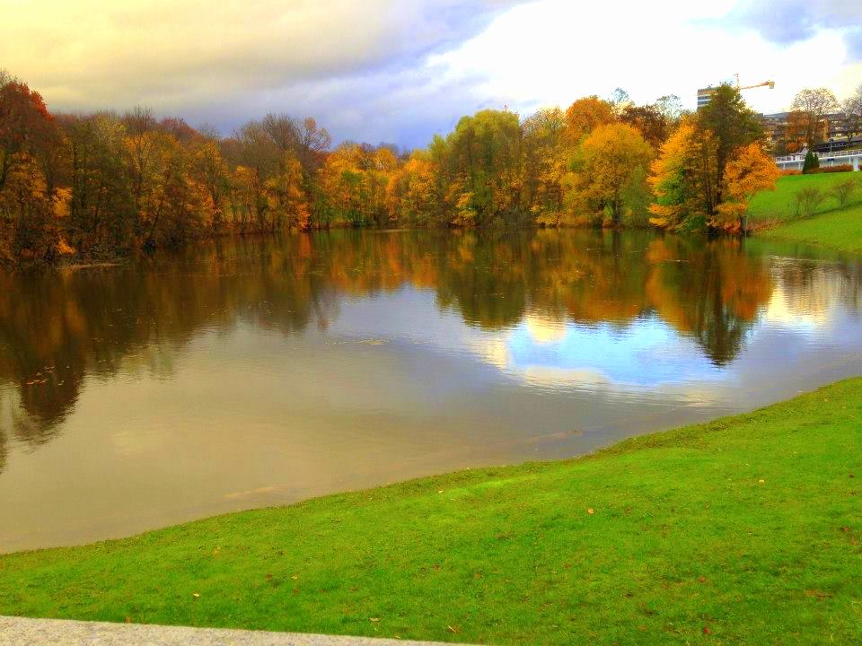 1560379_10154727404485468_6384240162368154733_n