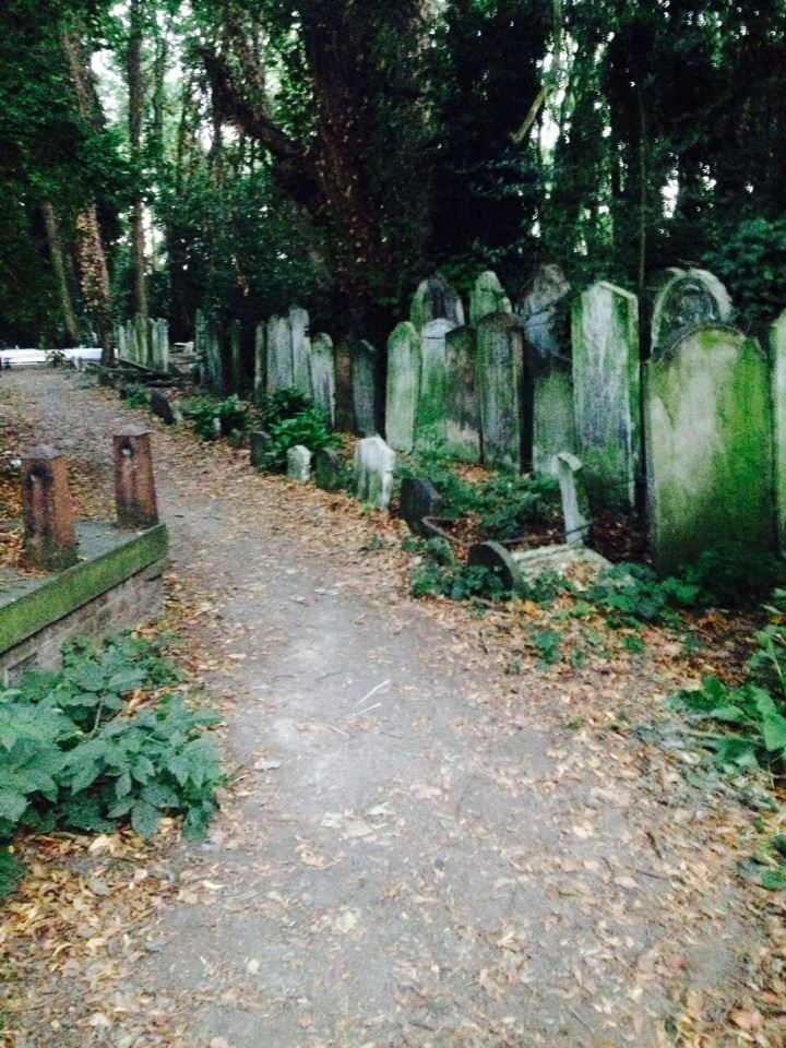 10593062_10154435169945468_4414070349883035508_n