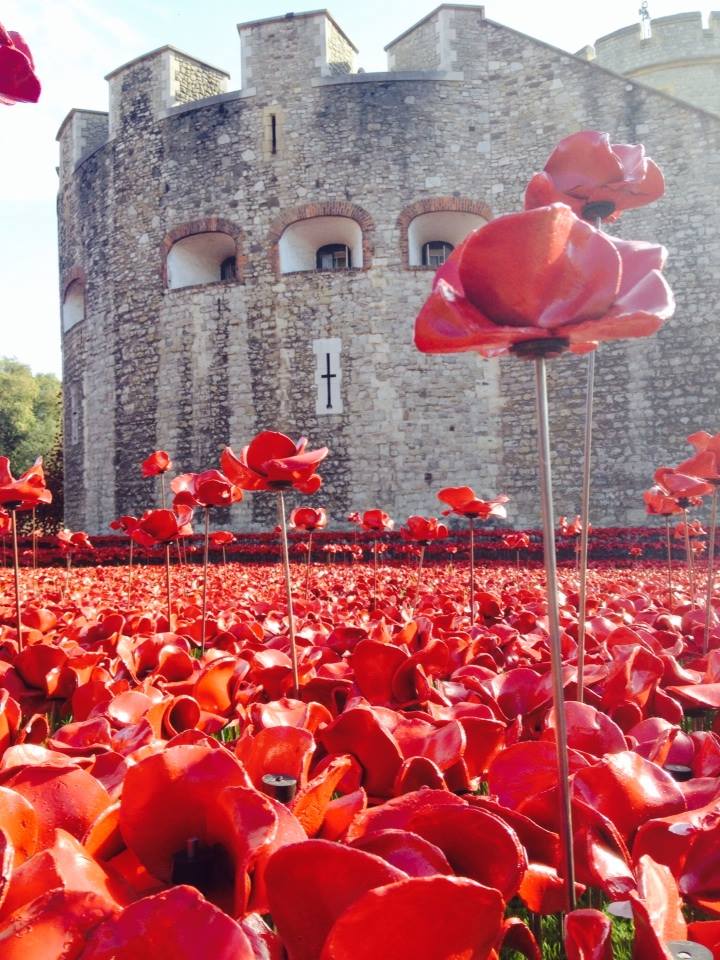 65093_10154636056365468_7150988004385293835_n