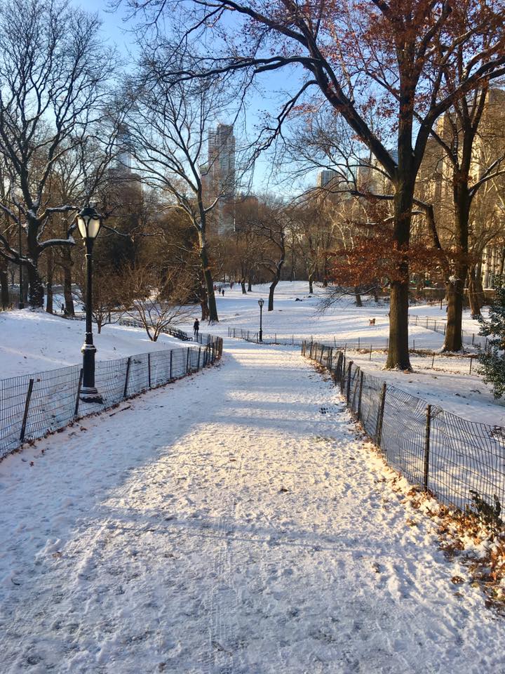 25395858_10159647646425468_176644386728251184_n