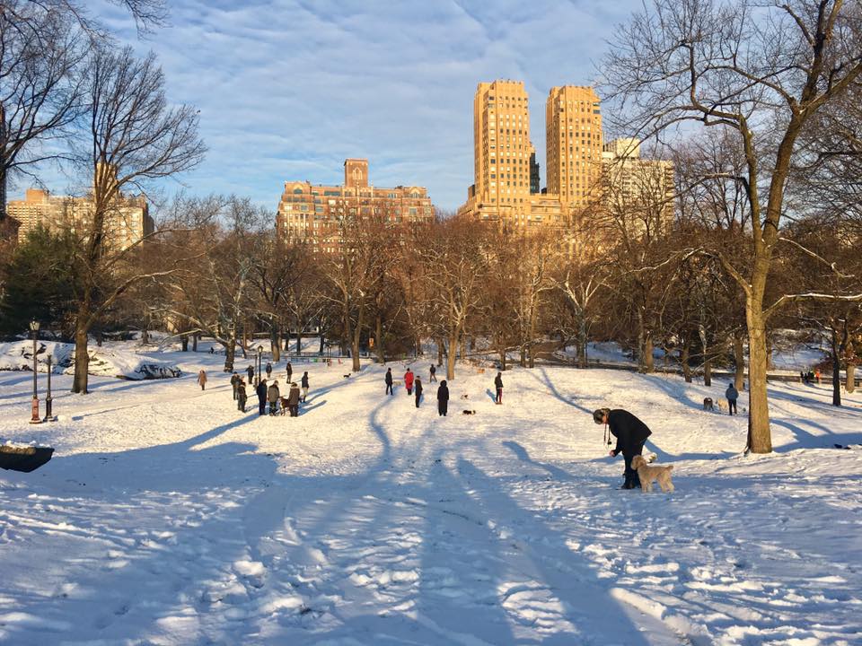 25396251_10159647646470468_7109207793224173158_n