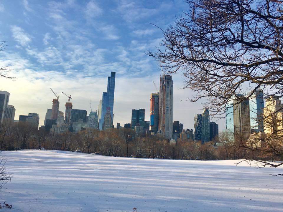 25446162_10159647646190468_3418371573829562344_n