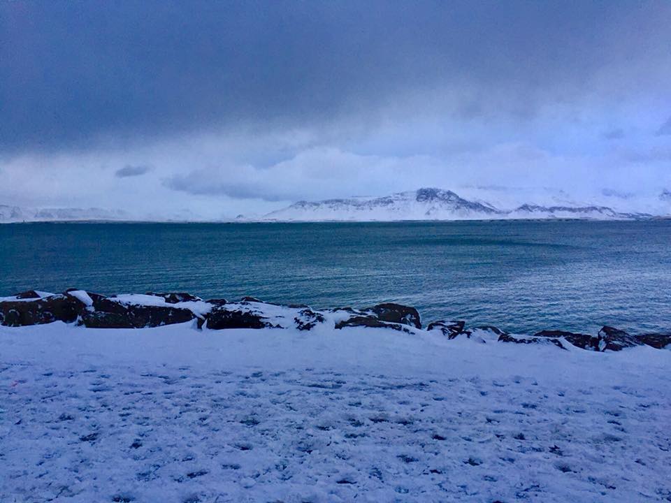 27459109_10159868329785468_1502905409388957855_n