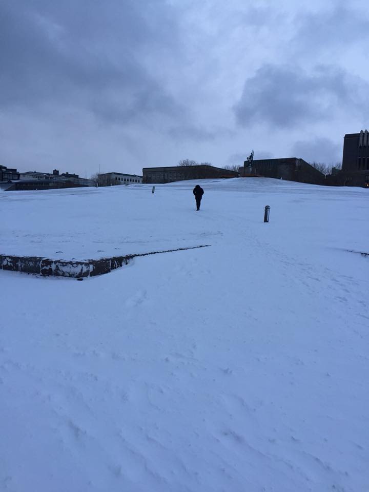 27752106_10159868329615468_4422243028517003437_n